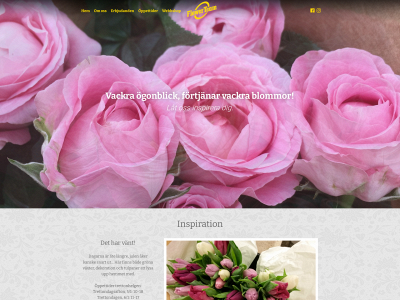 flowerteam.se snapshot