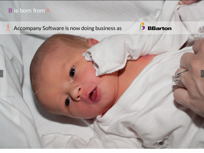 bbarton.biz snapshot