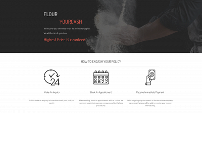 flouryourcash.com snapshot