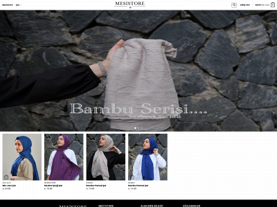 mesistore.com snapshot
