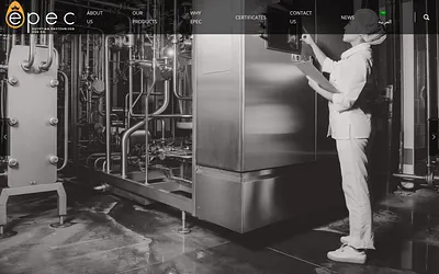 epecegypt.com snapshot