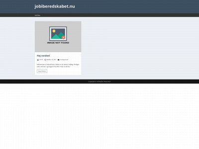 jobiberedskabet.nu snapshot