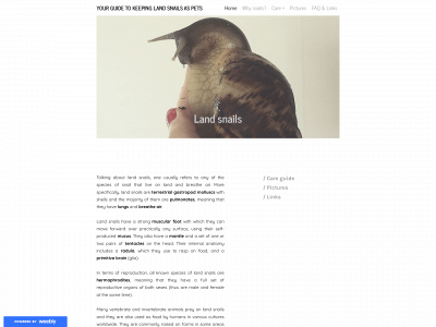 keeping-petsnails.weebly.com snapshot