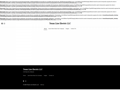 texanlineelectric.com snapshot