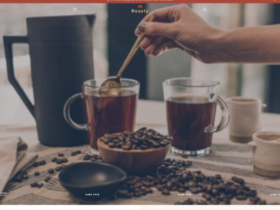 roasty.dk snapshot