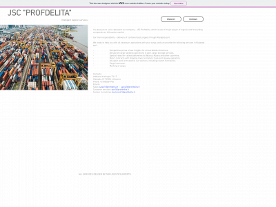 profdelita.lt snapshot