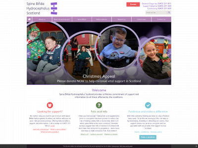 sbhscotland.org.uk snapshot