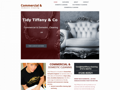 www.tidytiffany.cleaning snapshot