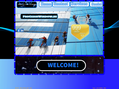 procleanwindow.one snapshot