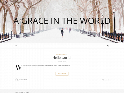 agraceintheworld.com snapshot