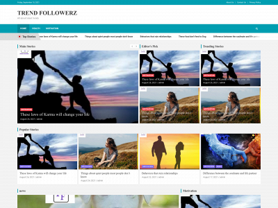 trendfollowerz.com snapshot