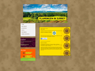 vlamingeninsurrey.co.uk snapshot
