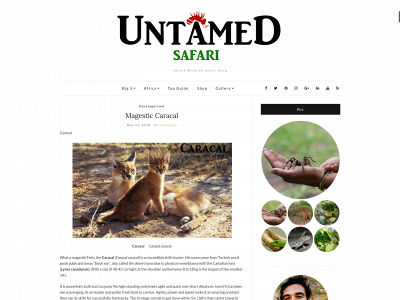 theuntamedsafariants.com snapshot