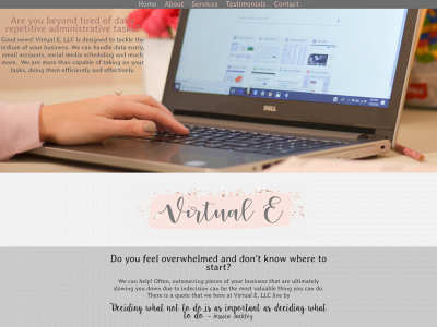 workvirtuale.com snapshot