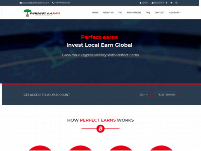 www.perfectearns.com snapshot