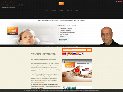 megaflo-service.co.uk snapshot