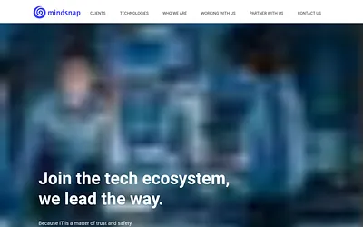 mindsnap.com snapshot