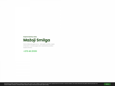 mazojismilga.lt snapshot