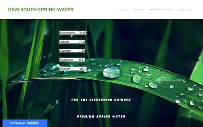 www.dewsouthwater.com snapshot