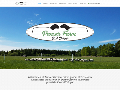 pancerfarm.com snapshot