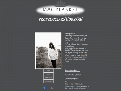 profylaxbarnmorskanmagplasket.se snapshot