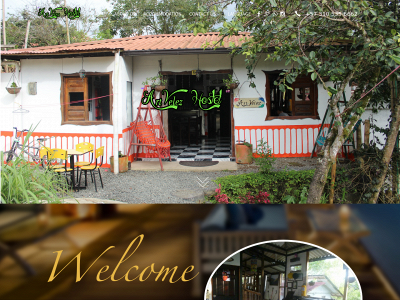 artvelezhostel.com snapshot