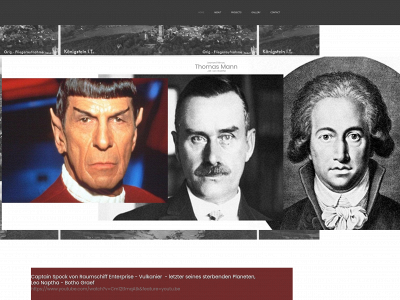 thomas-mann-neuforschung.com snapshot