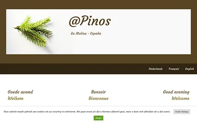 atpinos.com snapshot