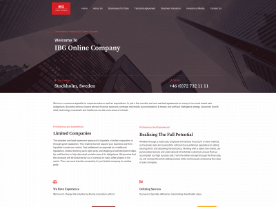 ibgonlinecompany.com snapshot
