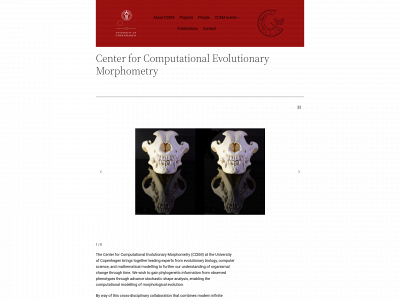 ccem.dk snapshot