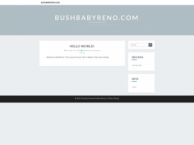 bushbabyreno.com snapshot