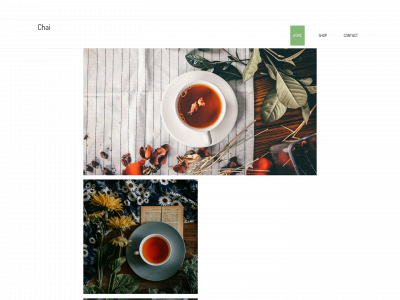 my2gostore.com snapshot