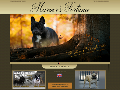 marversfortuna.be snapshot