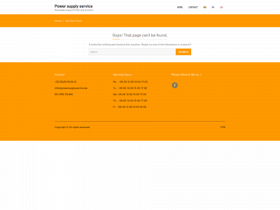 powersupplyservice.com snapshot