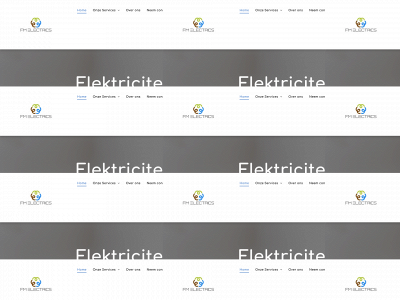 fmelectrics.nl snapshot