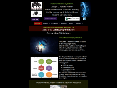 bravebearanalytics.com snapshot