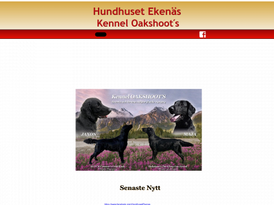 oakshoots.se snapshot