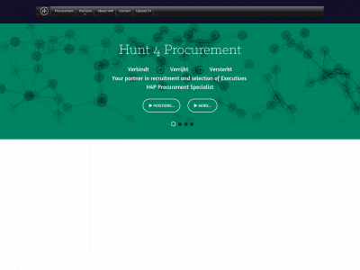 hunt4professionals.com snapshot