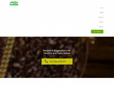 vitalitybuddys.com snapshot