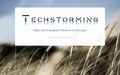 techstorming.se snapshot
