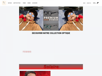 ritzoptic.com snapshot