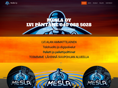 mesla.fi snapshot
