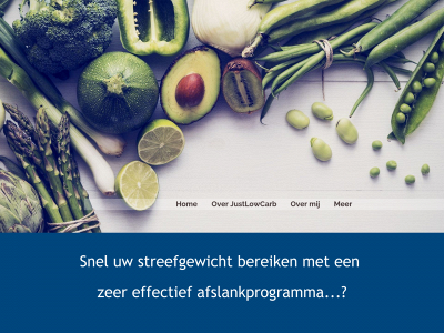 afslankcenterhilversum.nl snapshot