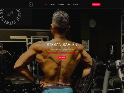stebanfitness.com snapshot