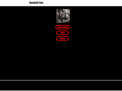 dominikfels.de snapshot