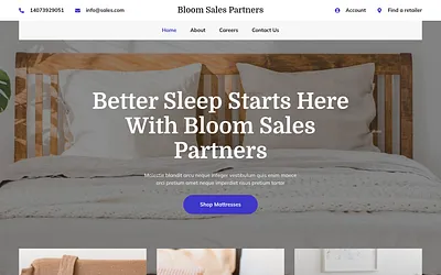 bloomsalespartners.com snapshot