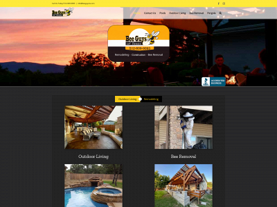 beeguystx.com snapshot