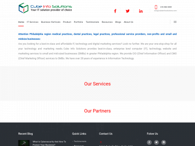 cubeinfosolutions.com snapshot