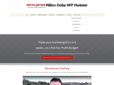 milliondollarnfpmarketer.com snapshot