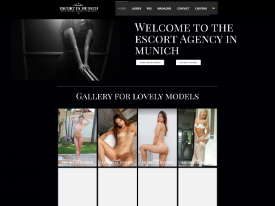 escort-in-munich.com snapshot